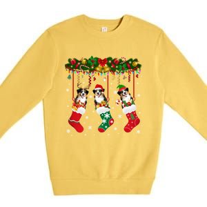 Australian Shepherd In Sock Xmas Reindeer Santa Elf Dog Gift Premium Crewneck Sweatshirt