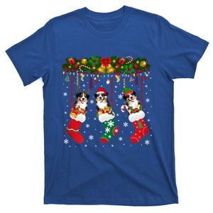 Australian Shepherd In Sock Xmas Reindeer Santa Elf Dog Gift T-Shirt