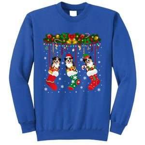 Australian Shepherd In Sock Xmas Reindeer Santa Elf Dog Gift Tall Sweatshirt