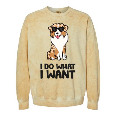 Australian Shepherd I Do What I Want Funny Aussie Dog Colorblast Crewneck Sweatshirt