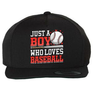 American Sport Just A Who Loves Baseball Gifts Wool Snapback Cap