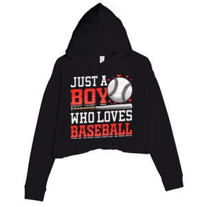 American Sport Just A Boy Who Loves Baseball Gifts For Crop Fleece Hoodie