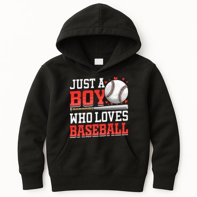 American Sport Just A Boy Who Loves Baseball Gifts For Kids Hoodie