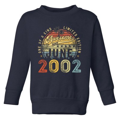 Awesome Since June 2002 Vintage 21st Birthday Party Retro Toddler Sweatshirt