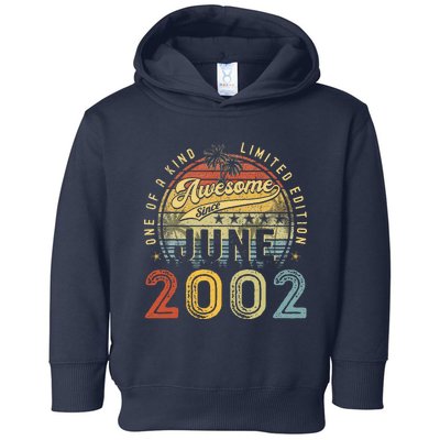 Awesome Since June 2002 Vintage 21st Birthday Party Retro Toddler Hoodie