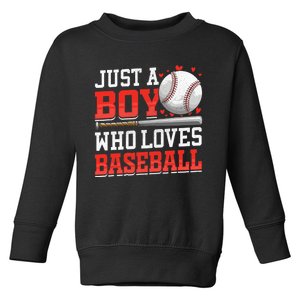 American Sport Just A Bo_y Who Loves Baseball Gifts Toddler Sweatshirt