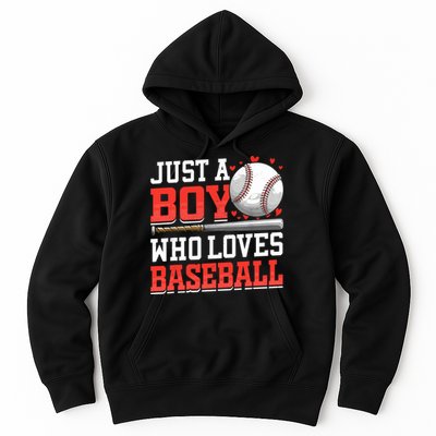 American Sport Just A Boy Who Loves Baseball Gifts For Boy Hoodie