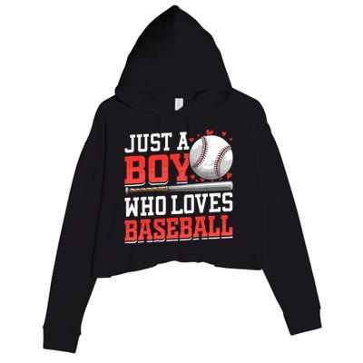 American Sport Just A Boy Who Loves Baseball Gifts For Boy Crop Fleece Hoodie