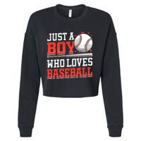 American Sport Just A Boy Who Loves Baseball Gifts For Boy Cropped Pullover Crew