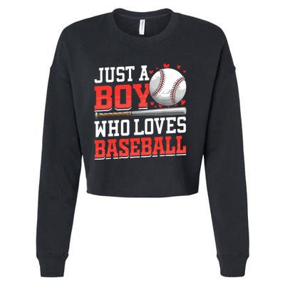 American Sport Just A Boy Who Loves Baseball Gifts For Boy Cropped Pullover Crew