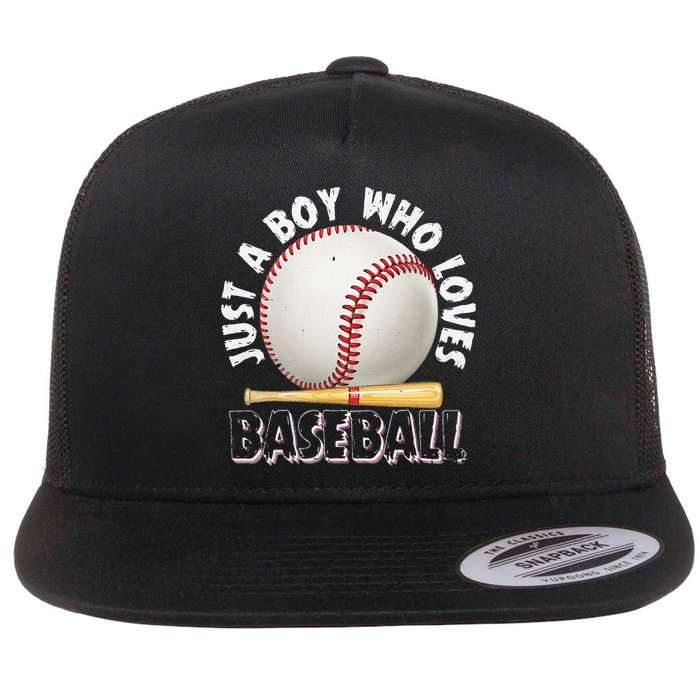 American Sport Just A Boy Who Loves Baseball Gifts For Flat Bill Trucker Hat