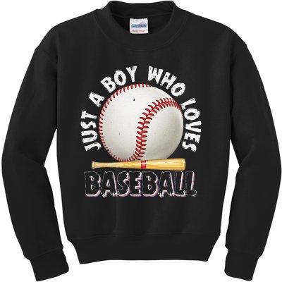 American Sport Just A Boy Who Loves Baseball Gifts For Kids Sweatshirt