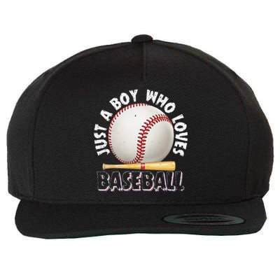 American Sport Just A Boy Who Loves Baseball Gifts For Wool Snapback Cap