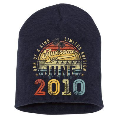 Awesome Since June 2010 Vintage 13th Birthday Party Retro Short Acrylic Beanie