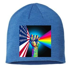 American Social Justice Great Gift Sustainable Beanie