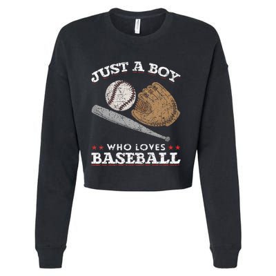 American Sport  Just A  Who Loves Baseball Cropped Pullover Crew