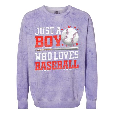 American Sport Just A Boy Who Loves Baseball Gifts Colorblast Crewneck Sweatshirt