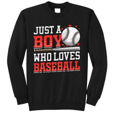 American Sport Just A Boy Who Loves Baseball Gifts Sweatshirt