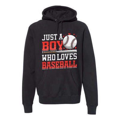 American Sport Just A Boy Who Loves Baseball Gifts Premium Hoodie