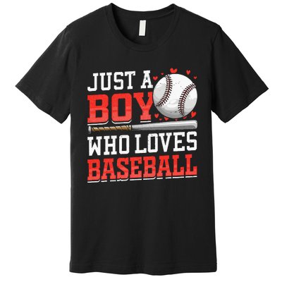 American Sport Just A Boy Who Loves Baseball Gifts Premium T-Shirt