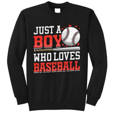 American Sport Just A Boy Who Loves Baseball Gifts Tall Sweatshirt