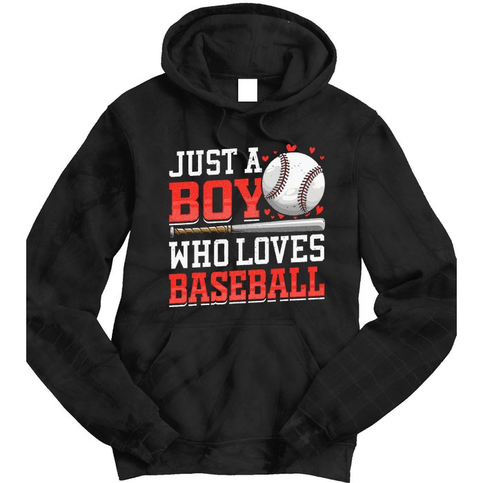 American Sport Just A Boy Who Loves Baseball Gifts Tie Dye Hoodie