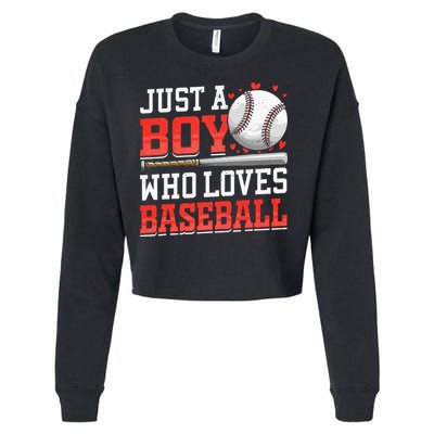 American Sport Just A Boy Who Loves Baseball Gifts Cropped Pullover Crew