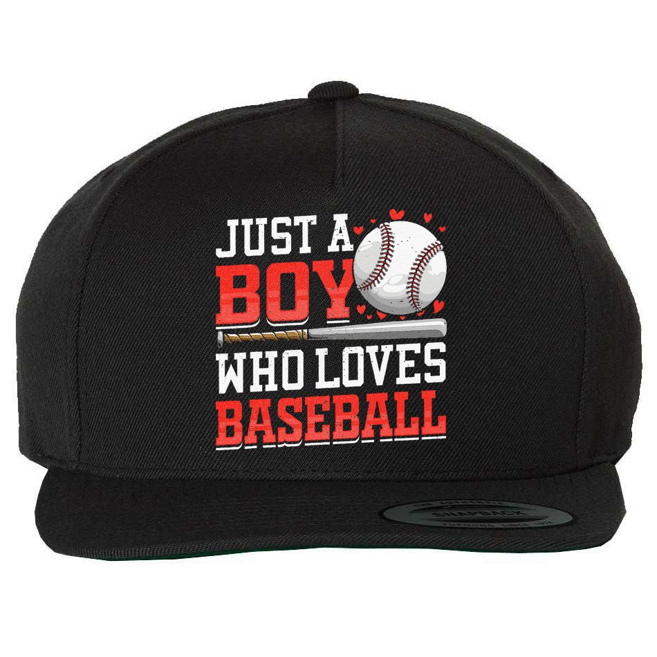 American Sport Just A Boy Who Loves Baseball Gifts Wool Snapback Cap
