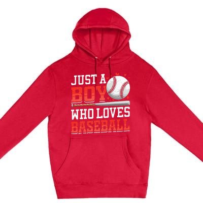 American Sport Just A Boy Who Loves Baseball Gifts Premium Pullover Hoodie