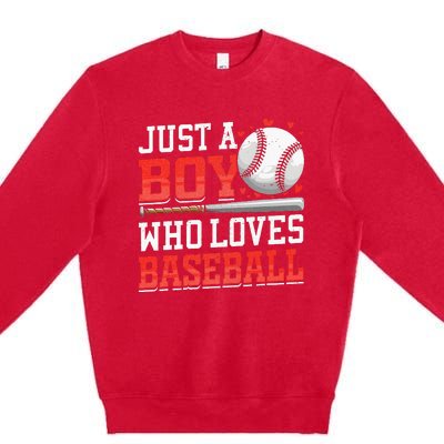 American Sport Just A Boy Who Loves Baseball Gifts Premium Crewneck Sweatshirt