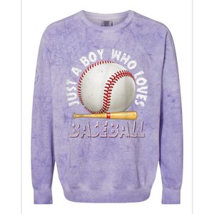 American Sport Just A Who Loves Baseball Gifts Colorblast Crewneck Sweatshirt