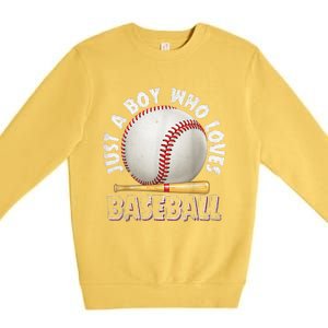 American Sport Just A Who Loves Baseball Gifts Premium Crewneck Sweatshirt