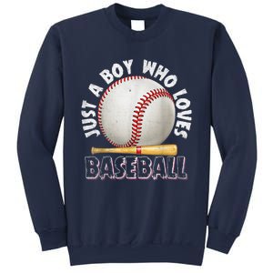 American Sport Just A Who Loves Baseball Gifts Sweatshirt