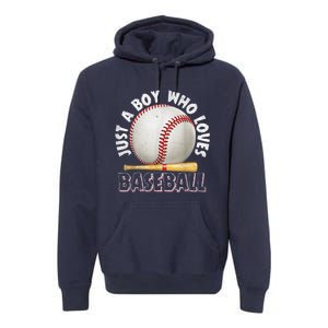 American Sport Just A Who Loves Baseball Gifts Premium Hoodie