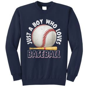 American Sport Just A Who Loves Baseball Gifts Tall Sweatshirt