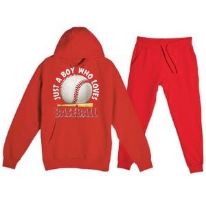 American Sport Just A Who Loves Baseball Gifts Premium Hooded Sweatsuit Set