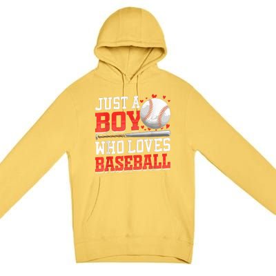 American Sport Just A Who Loves Baseball Gifts Premium Pullover Hoodie