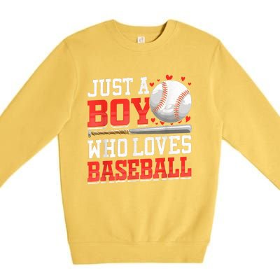 American Sport Just A Who Loves Baseball Gifts Premium Crewneck Sweatshirt