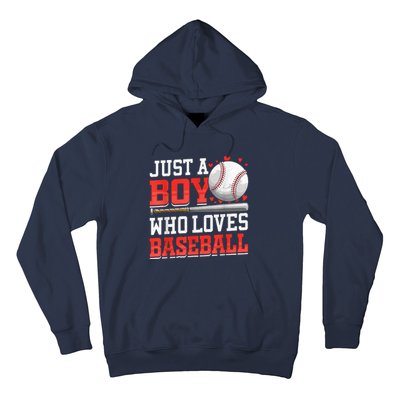 American Sport Just A Who Loves Baseball Gifts Hoodie