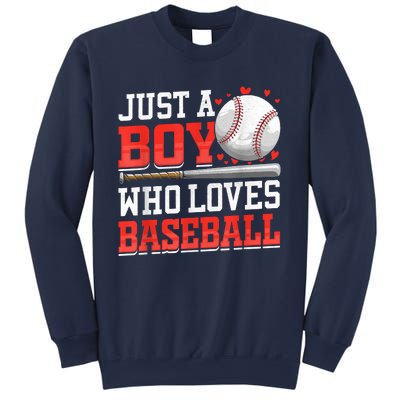 American Sport Just A Who Loves Baseball Gifts Sweatshirt