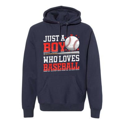 American Sport Just A Who Loves Baseball Gifts Premium Hoodie