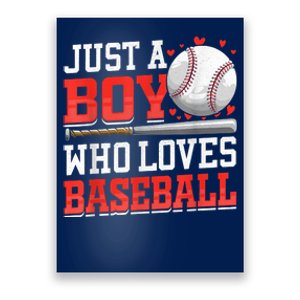 American Sport Just A Who Loves Baseball Gifts Poster