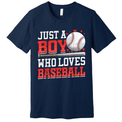 American Sport Just A Who Loves Baseball Gifts Premium T-Shirt