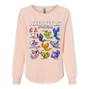 Axolotl Shirts Kawaii Axolotls Of The World Axolotl Animals Design Womens California Wash Sweatshirt