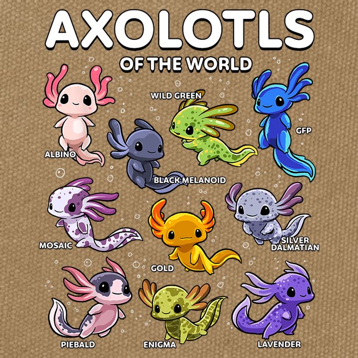 Axolotl Shirts Kawaii Axolotls Of The World Axolotl Animals Design Cotton Canvas Backpack