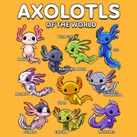 Axolotl Shirts Kawaii Axolotls Of The World Axolotl Animals Design Pom Pom 12in Knit Beanie
