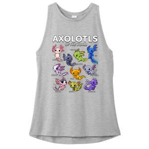 Axolotl Shirts Kawaii Axolotls Of The World Axolotl Animals Design Ladies PosiCharge Tri-Blend Wicking Tank