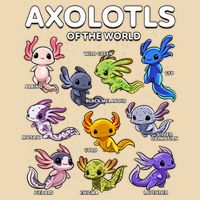 Axolotl Shirts Kawaii Axolotls Of The World Axolotl Animals Design Bag