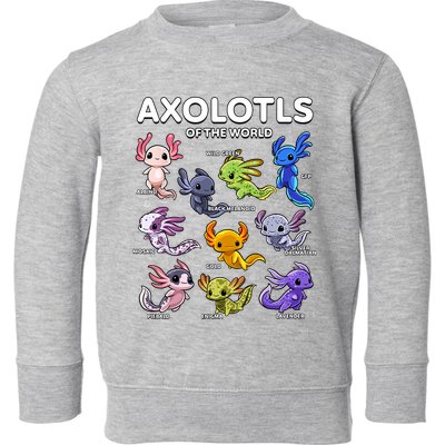 Axolotl Shirts Kawaii Axolotls Of The World Axolotl Animals Design Toddler Sweatshirt