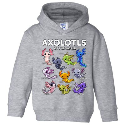 Axolotl Shirts Kawaii Axolotls Of The World Axolotl Animals Design Toddler Hoodie